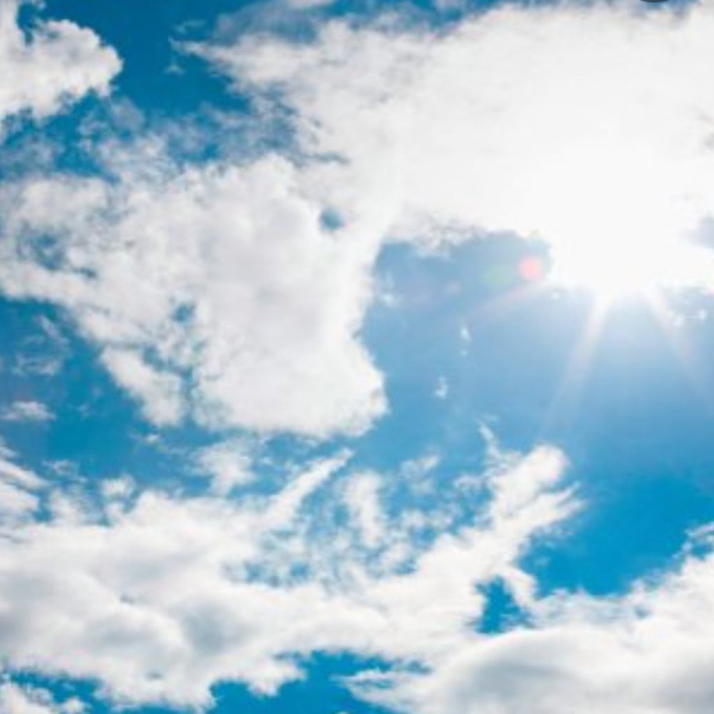 Meet your Posher, True G